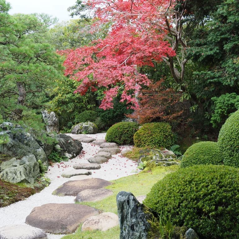 あおば園